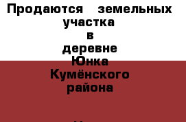 Продаются 3 земельных участка в деревне Юнка Кумёнского района › Цена ­ 4 000 - Кировская обл., Куменский р-н, Юнка д. Недвижимость » Земельные участки продажа   